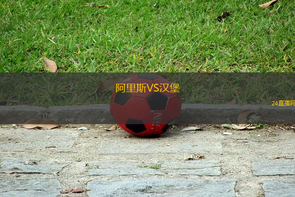 阿里斯VS漢堡