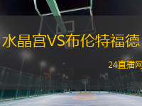 水晶宮VS布倫特福德