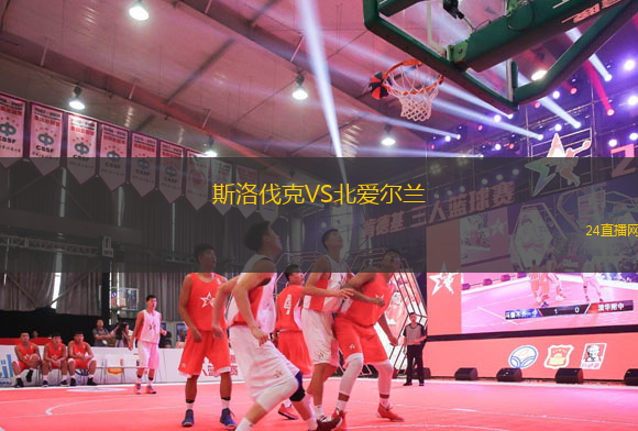 斯洛伐克VS北愛爾蘭